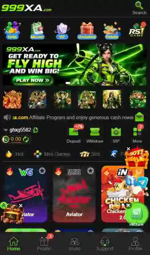999XA Game Interface