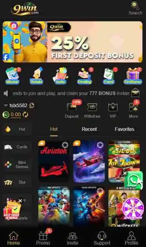 9Win Game Interface