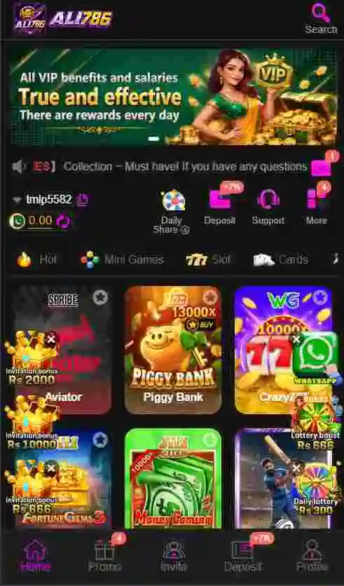 Ali786 Game Interface