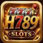 H789 Game