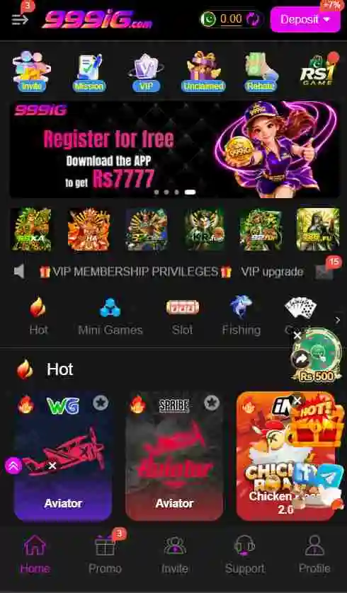 999IG Game Interface