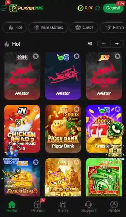 Player786 Game Interface